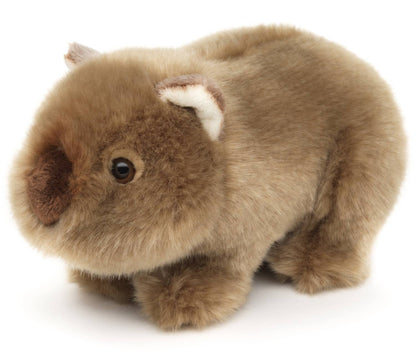 Pluche wombat
