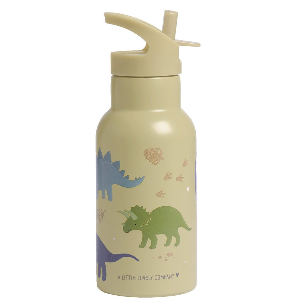 Gourde enfant en inox - Dinosaures