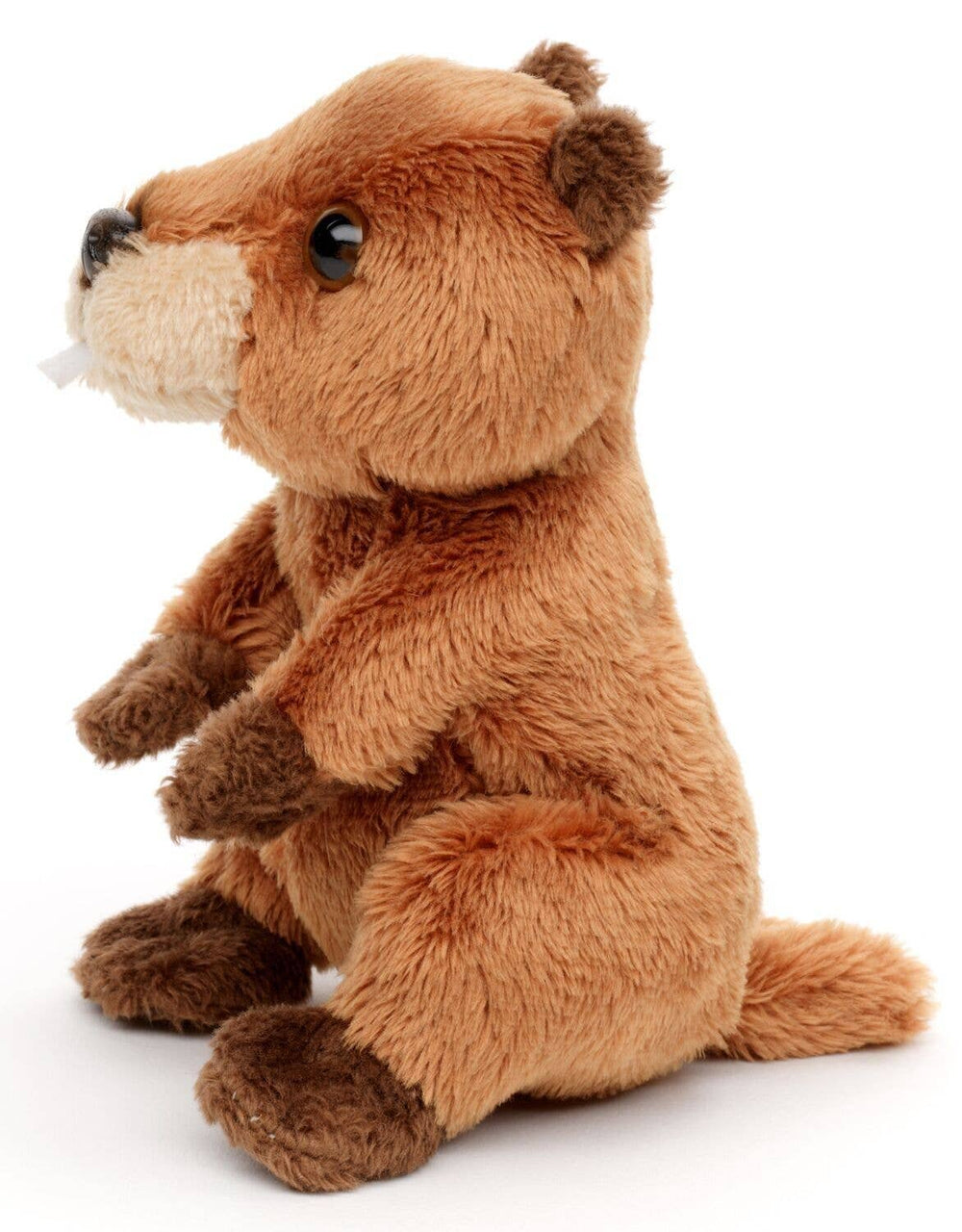Peluche Groundhog Assis