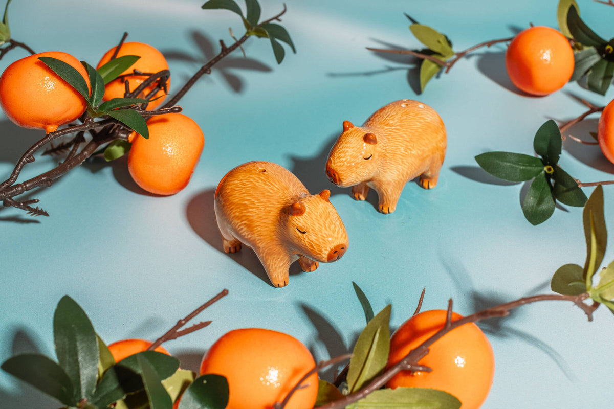 Salière et Poivrière Capybaras – Sass & Belle