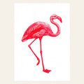 Ansichtkaart met roze flamingo