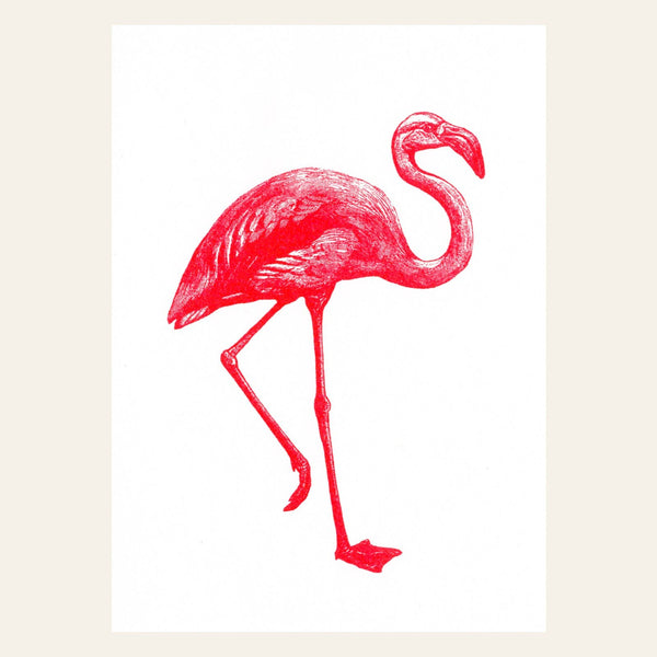 Ansichtkaart met roze flamingo
