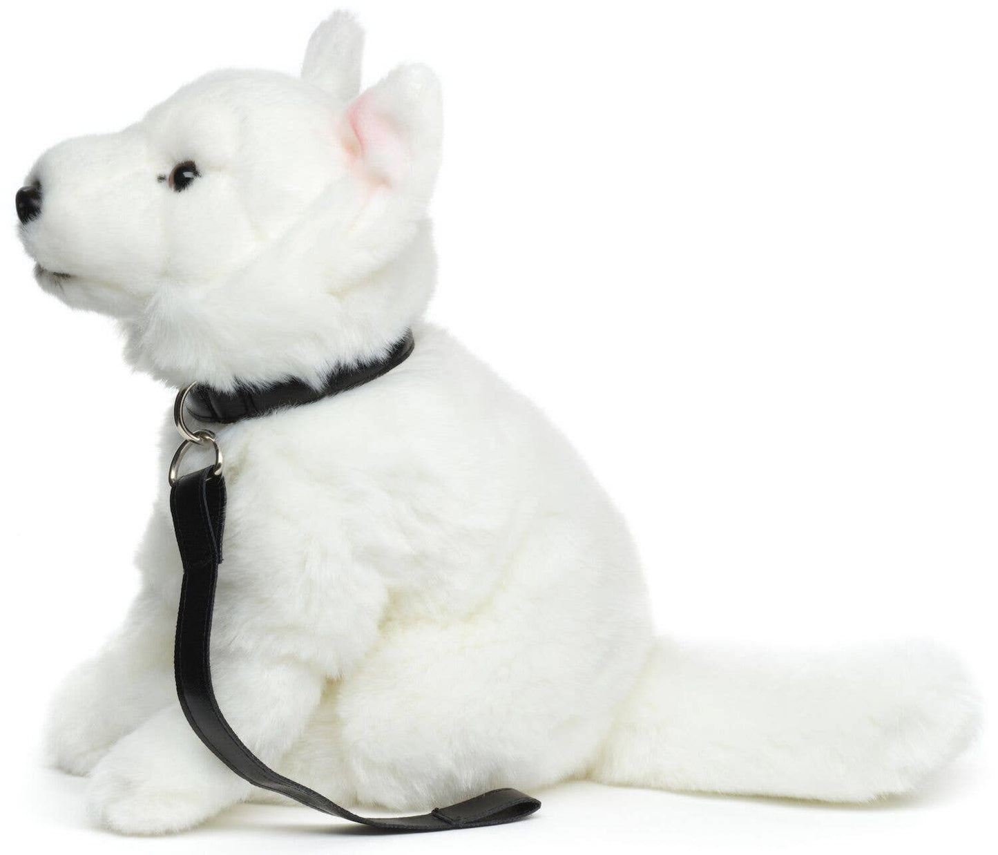Plush Swiss Shepherd Puppy Sitting with Leash