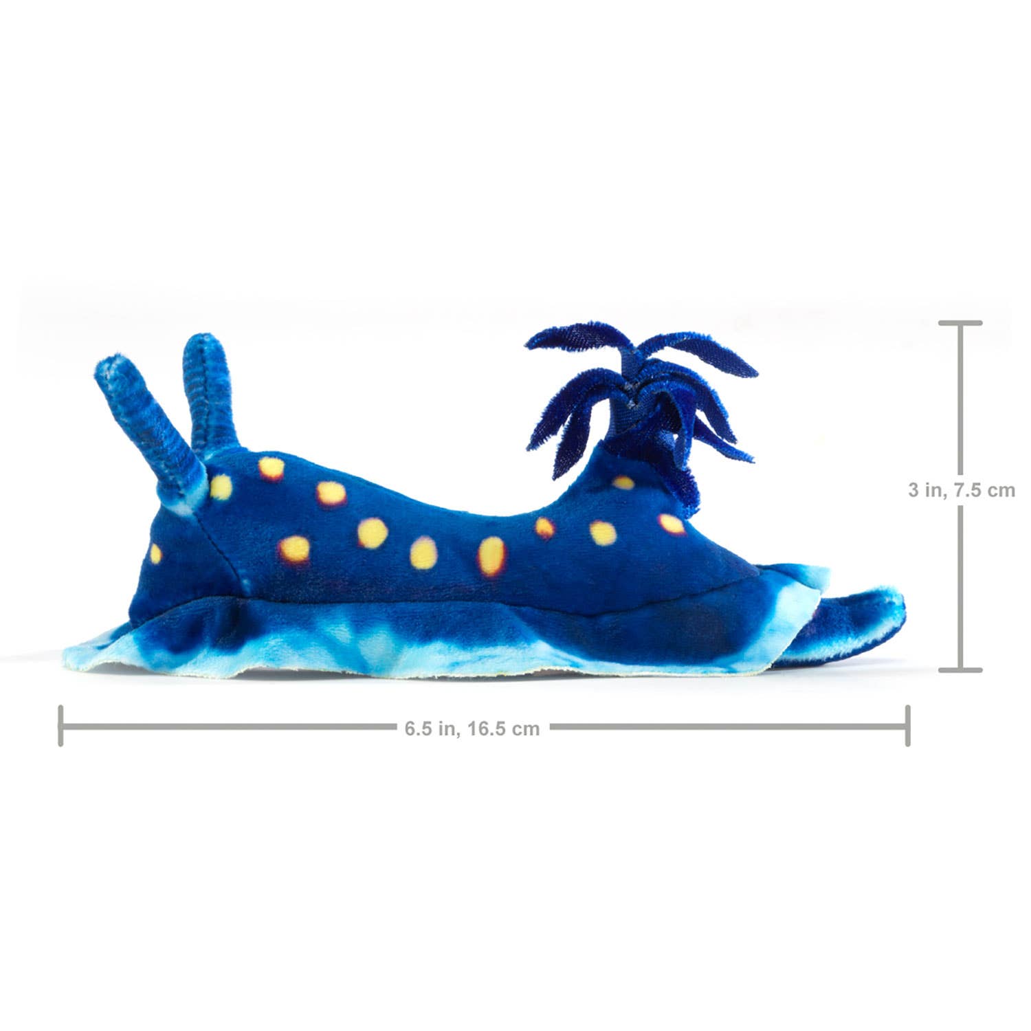 Marionnette à main Mini nudibranche bleu/Mini Ocean Snail 8001 Folkmanis réaliste