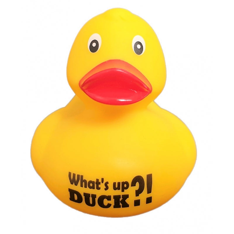 Canard "What's up DUCK ?"