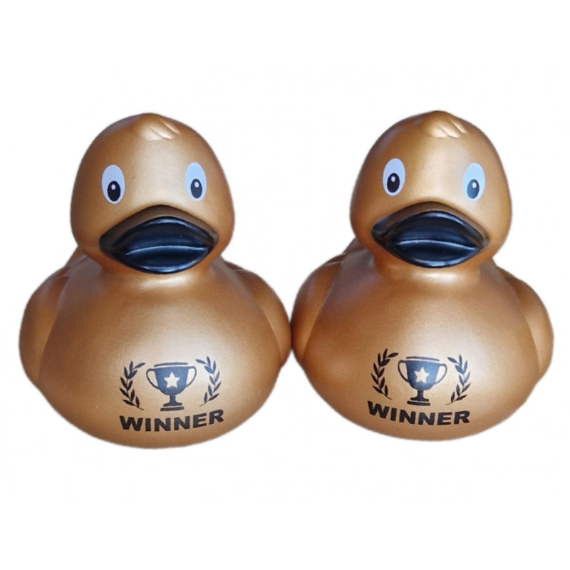 Canard "WINNER"