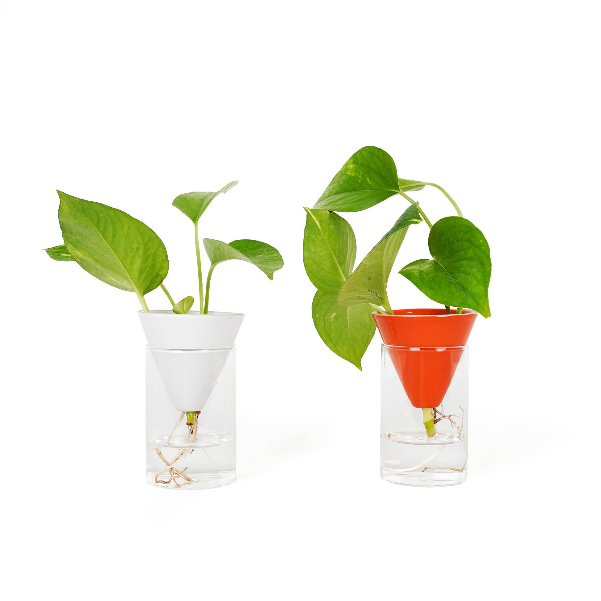 Cône Orange Vase Hydroponique Helio Ferretti Vue 4