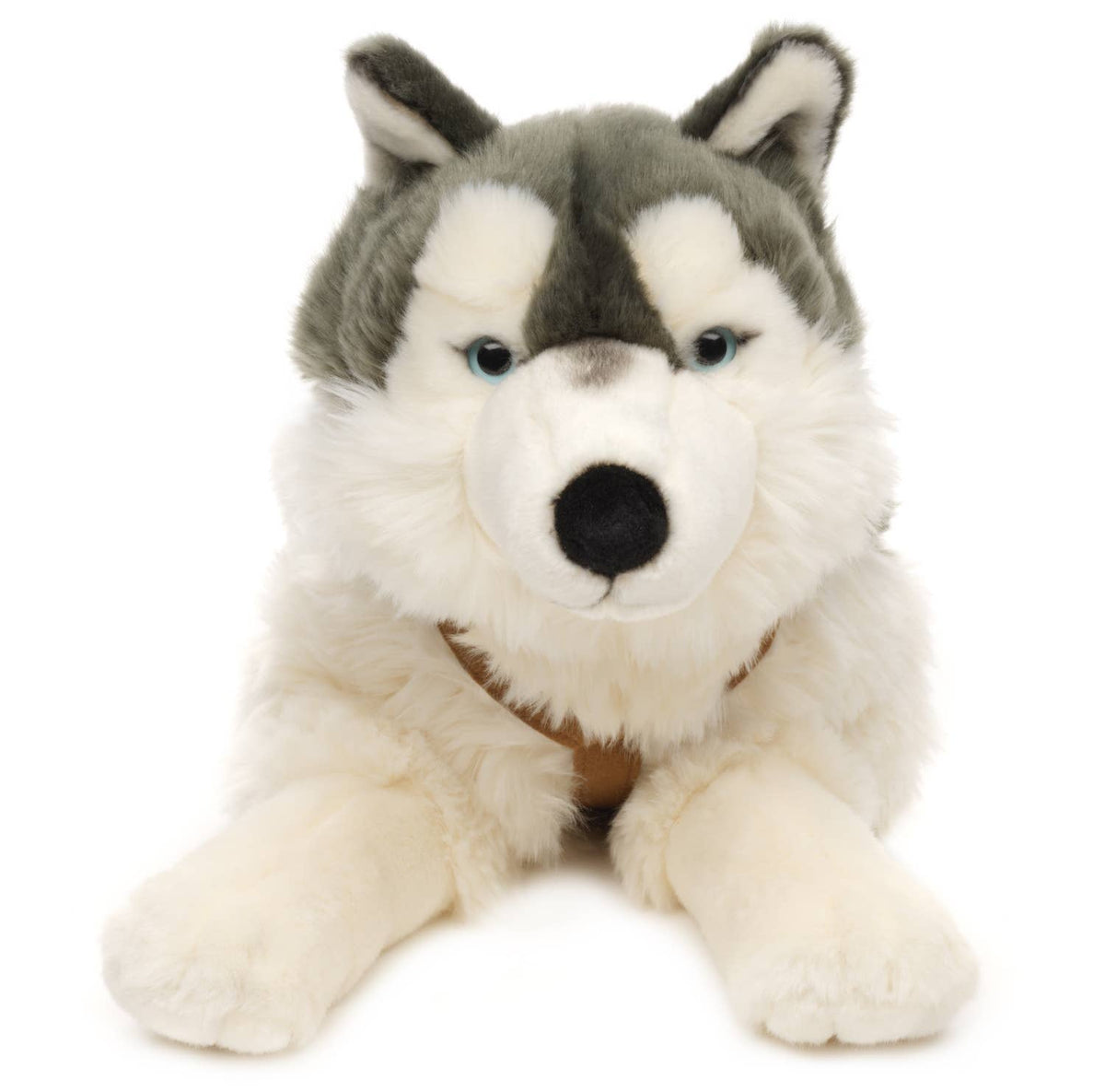 Peluche Husky couché avec harnais – 62 cm