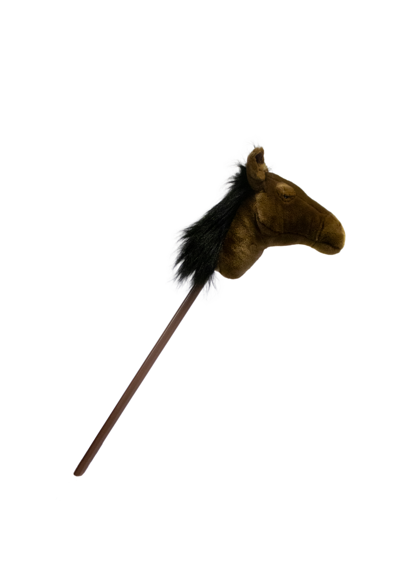 Hobby Horse
