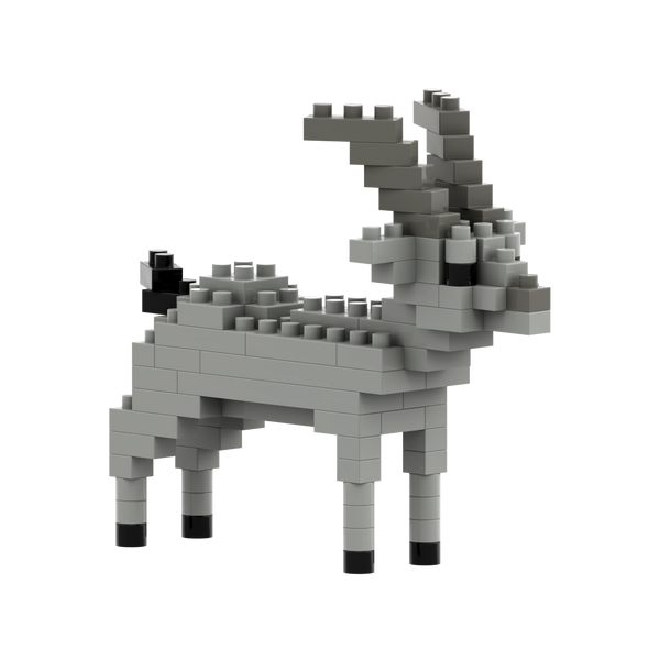 BRIXIES Capricorne