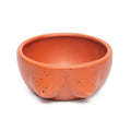 Handbeschilderde terracotta kom
