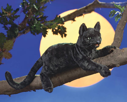 Marionnette à main Chat noir 2987/ Chat noir Folkmanis réaliste