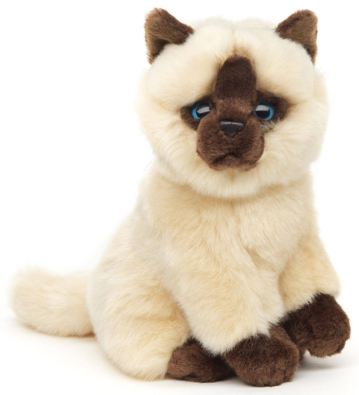 Peluche Chat Siamois Beige Assis