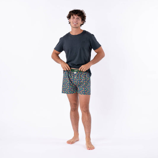 Boxershorts van 100% biologisch katoen - Bruine beer
