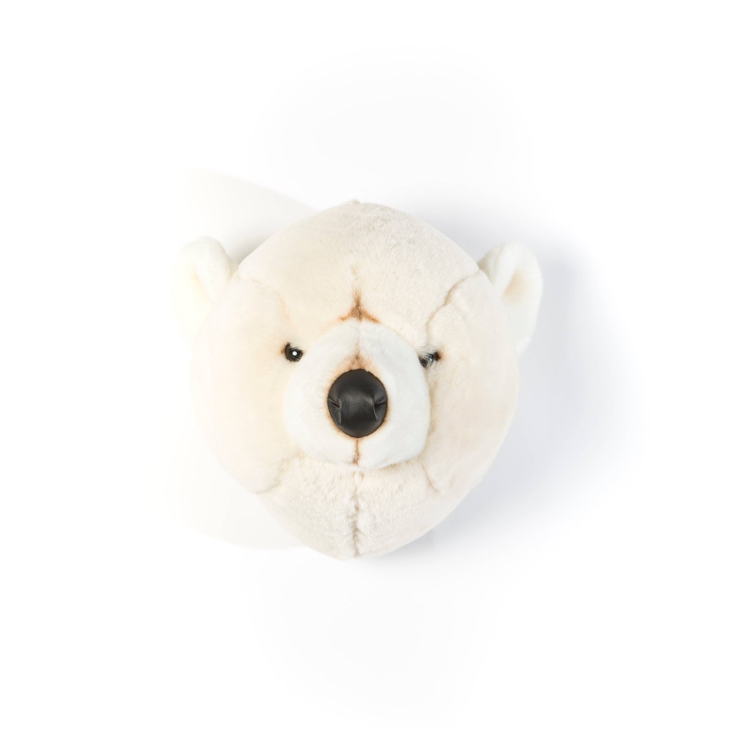 Basil the Polar Bear Plush Wall Decoration