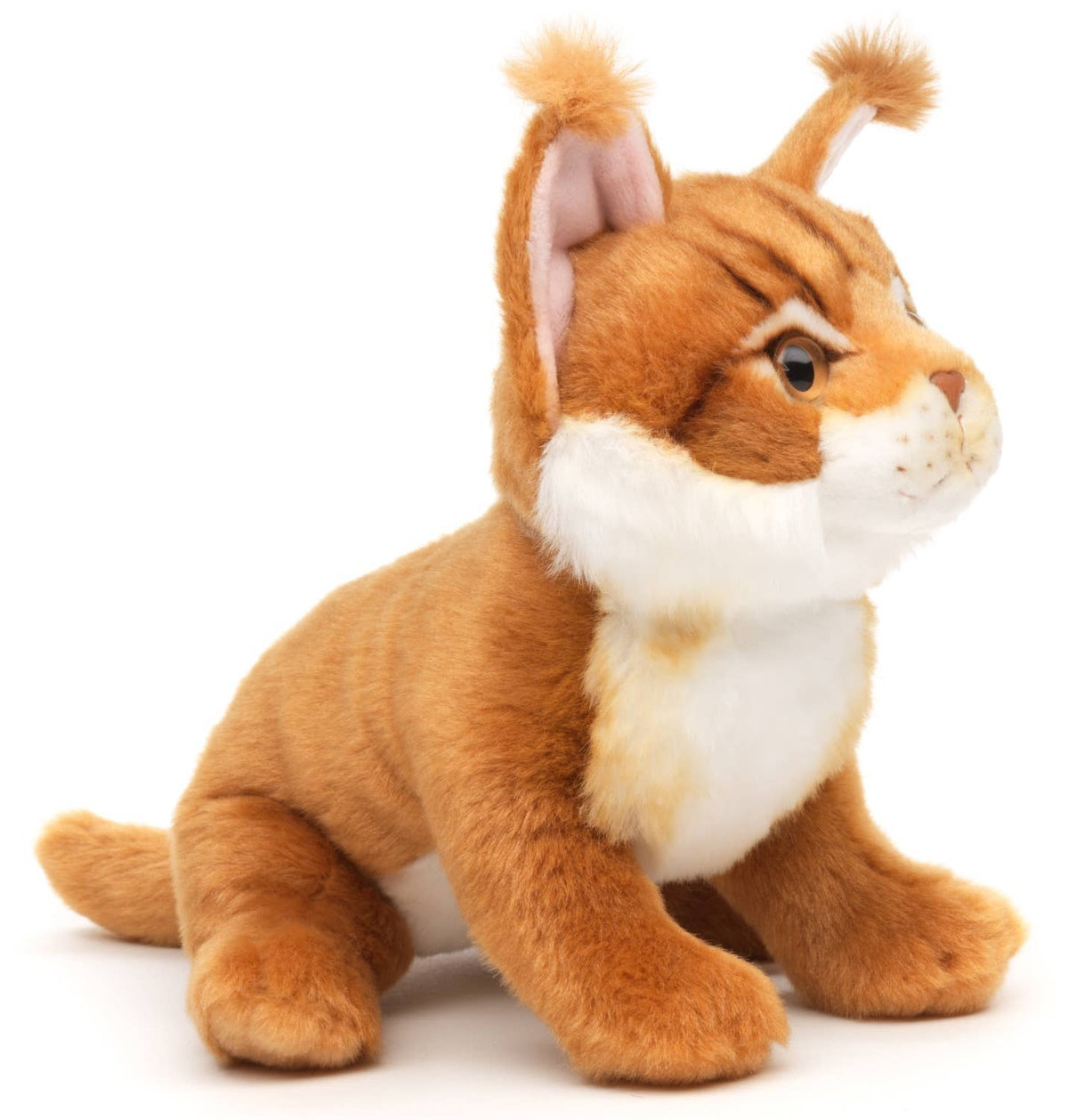 Peluche chat maine coon