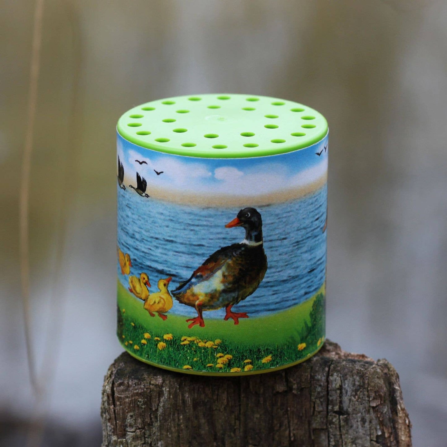 Boîte à sons d'animaux - Canard