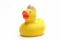 Princess Duck