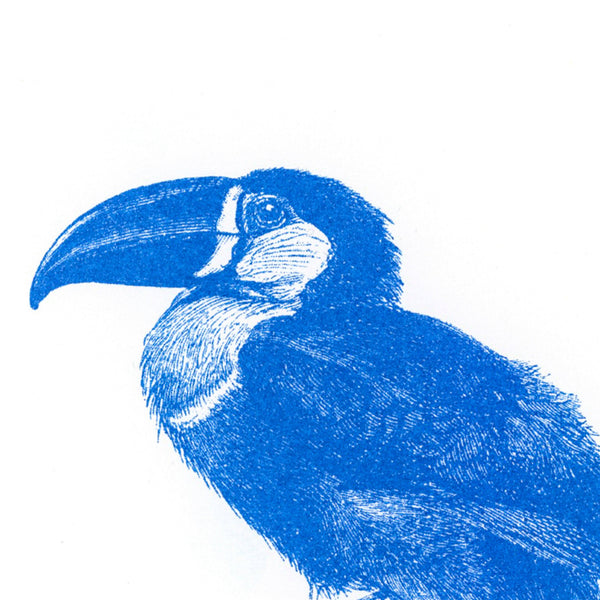 Ansichtkaart van een blauwe toekan