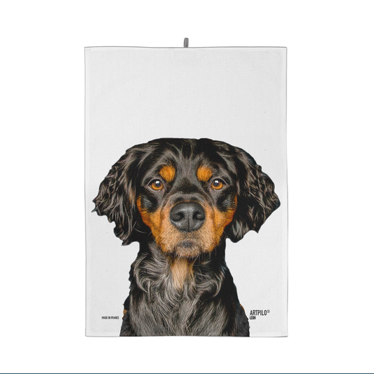 Torchon Léon le Setter Gordon