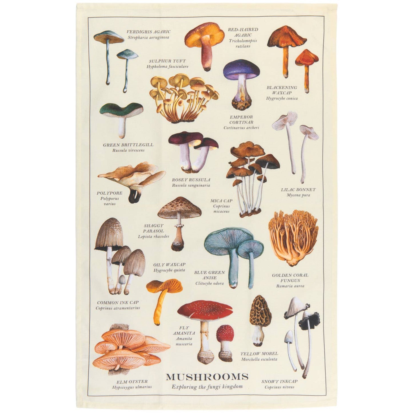 Torchon à motif champignons Now Designs