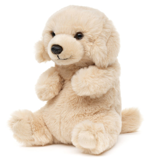Peluche Labrador, assis kawaii
