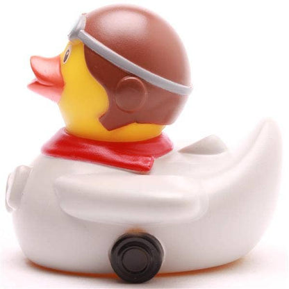 Canard Aviateur