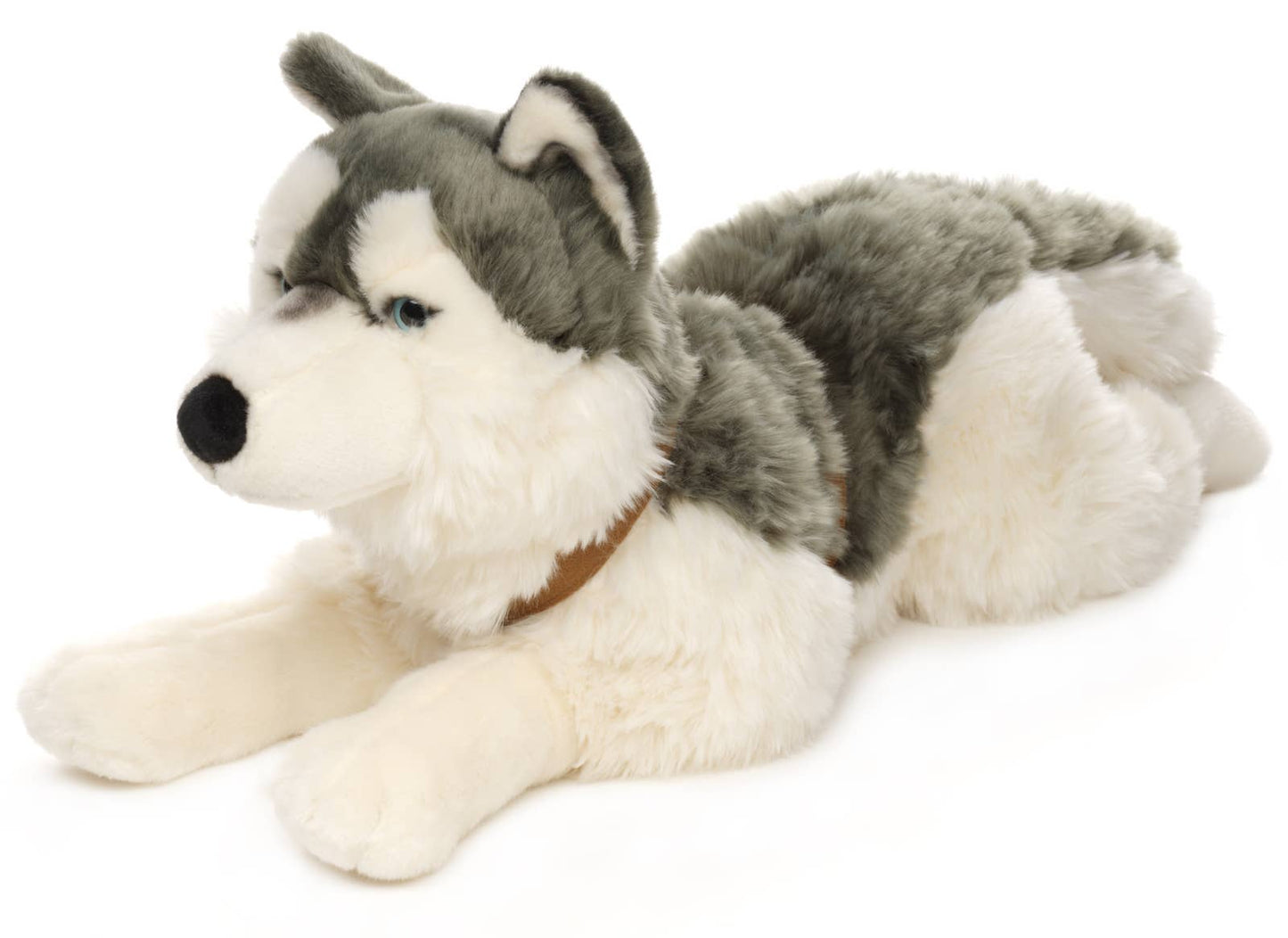 Peluche Husky, couché (avec harnais)