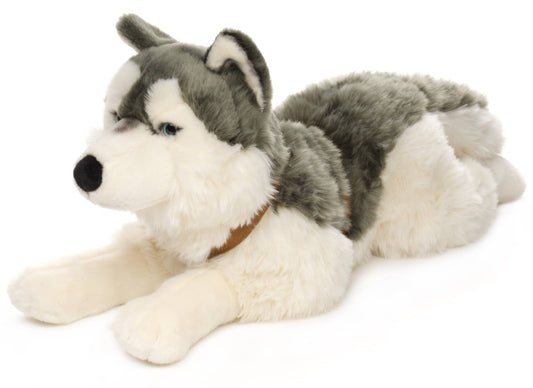 Husky plush toy, lying down (with harness)