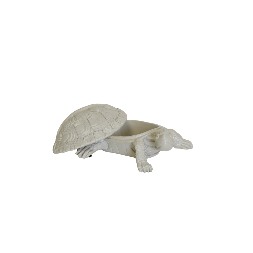 Schildpaddenbox - Zand