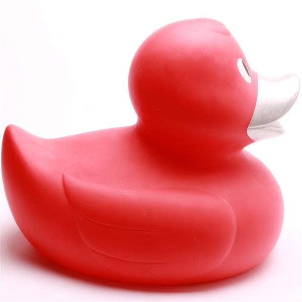 Canard Rouge XXL
