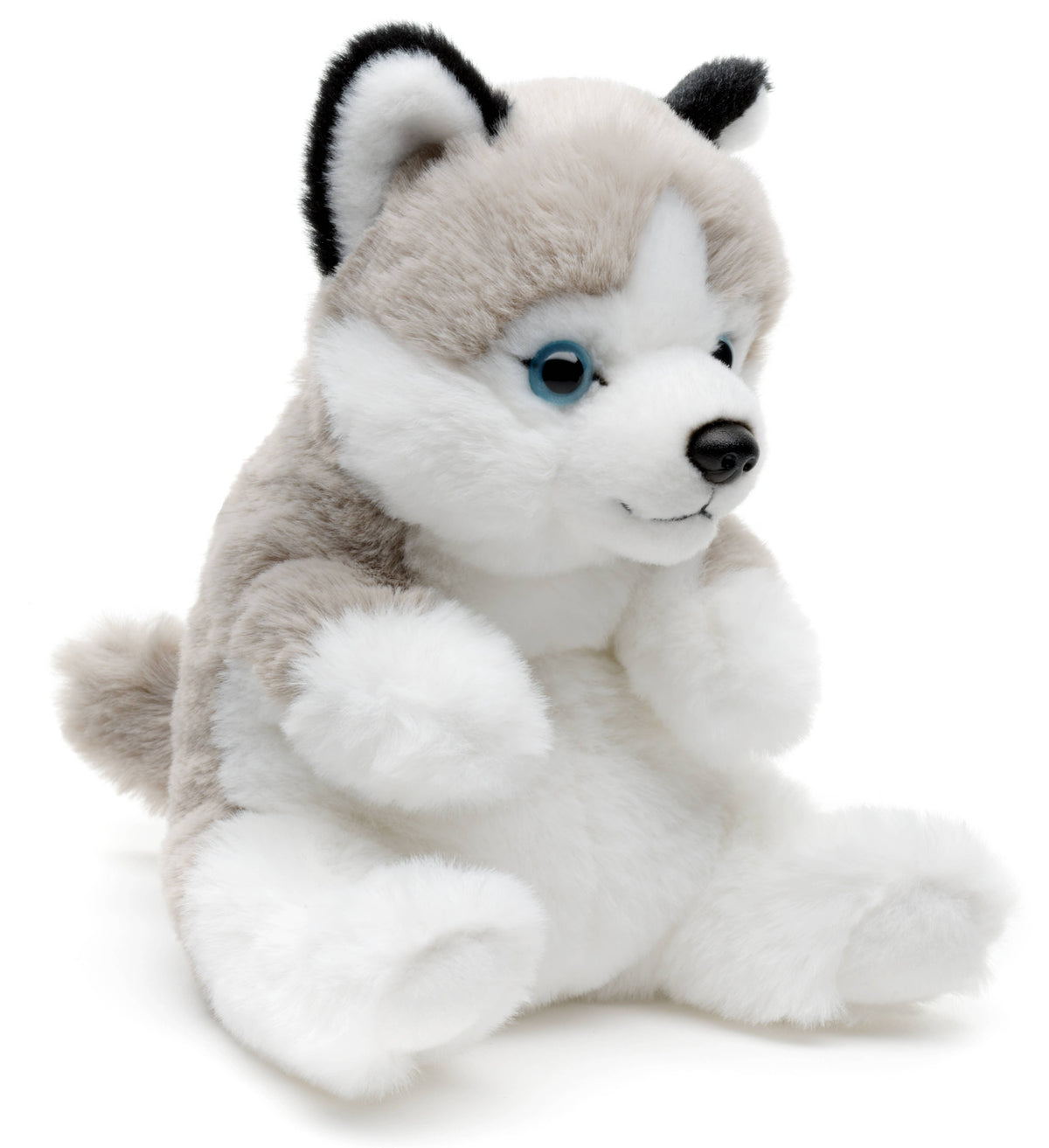 Peluche Husky assis style kawaii – 17 cm
