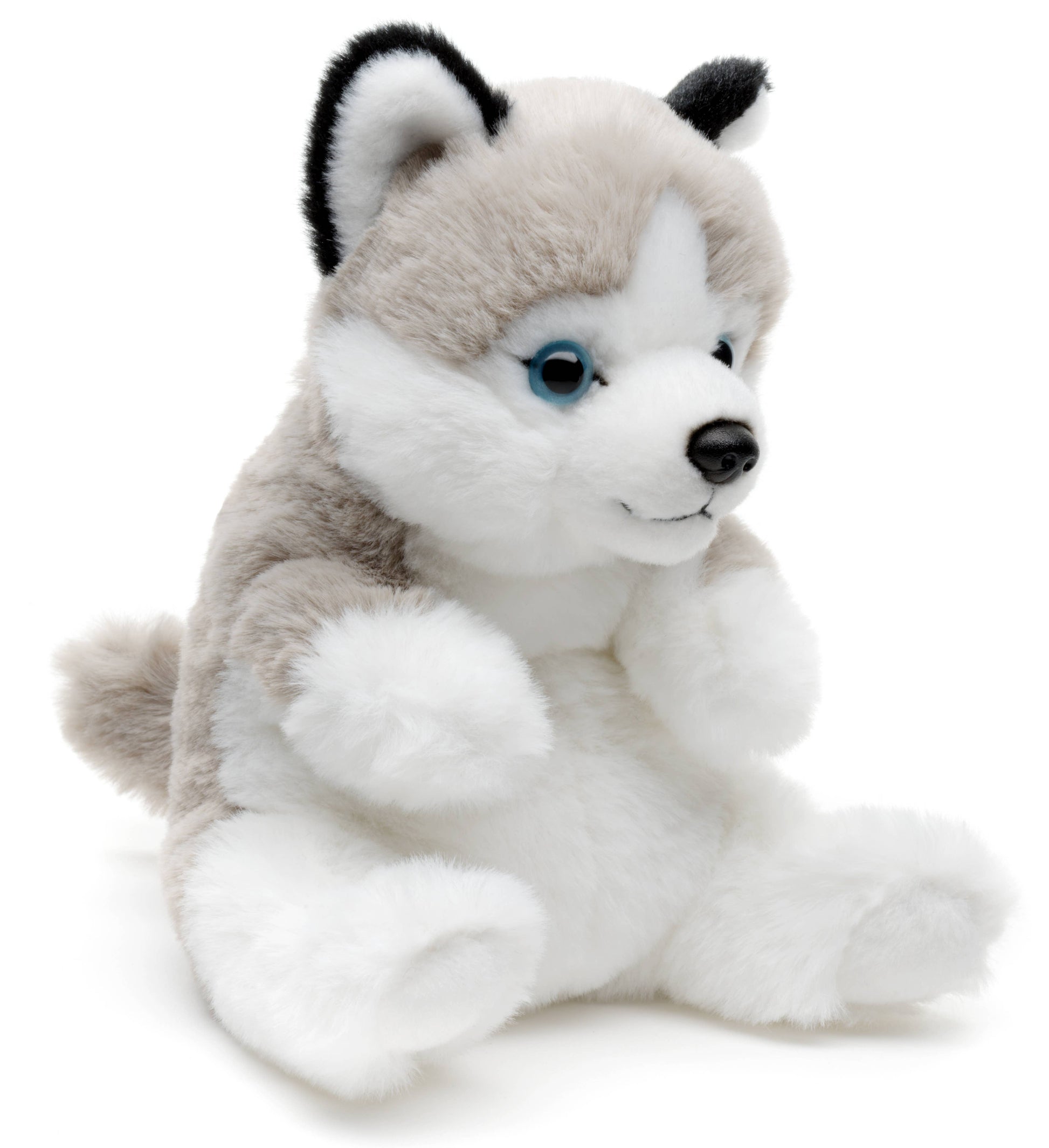Husky, assis, style kawaii, doudou ou en peluche Uni Toys
