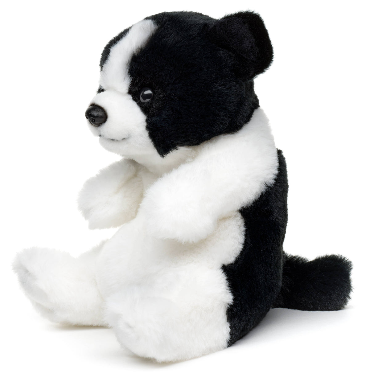 Peluche Border Collie, assis, style kawaii, 17 cm (hauteur)