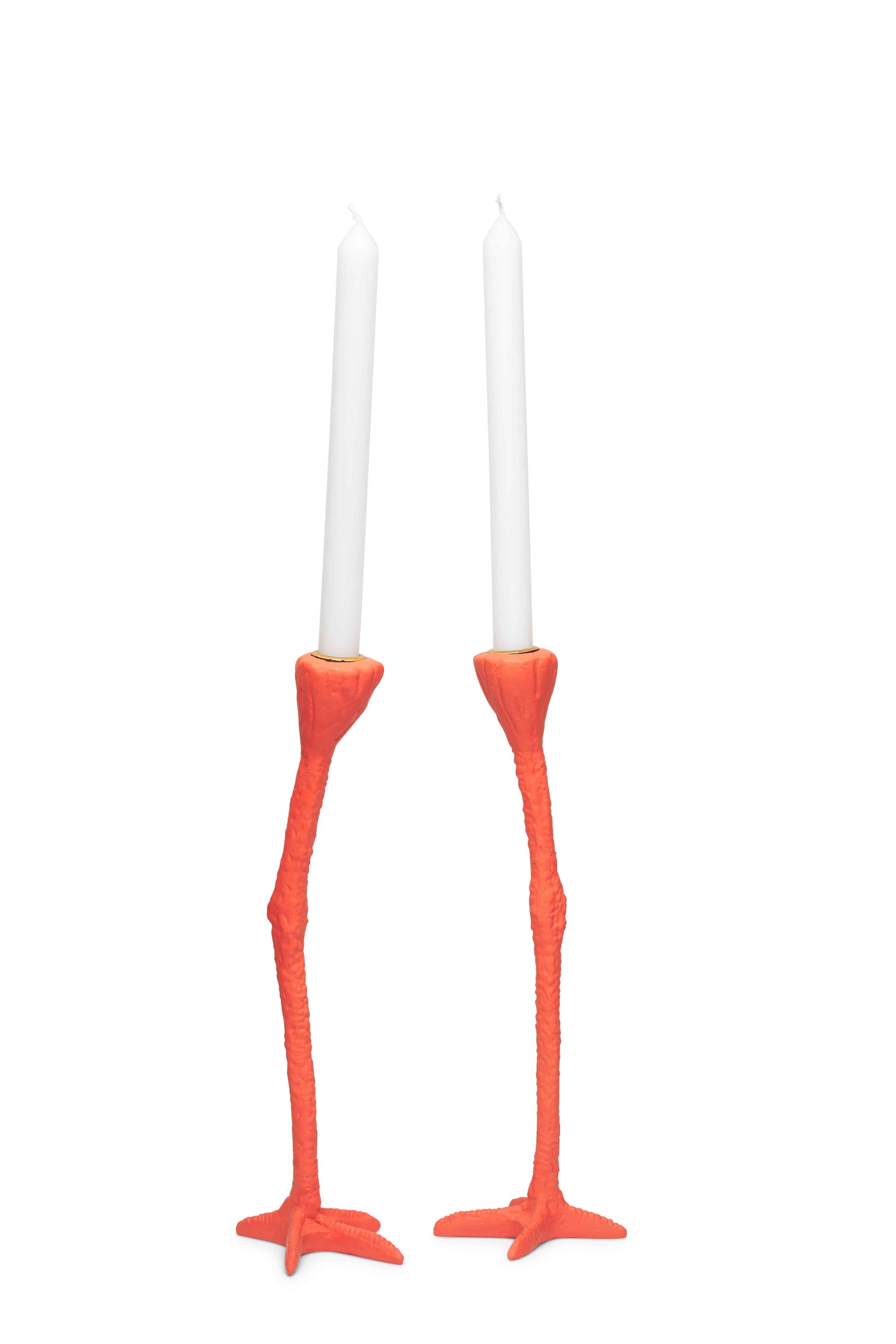 Jambes longues Doré – Jasmin Djerzic – Doré – vue 19