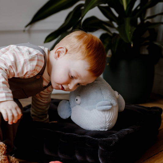 Bouillotte Peluche Warmies Poisson bulle