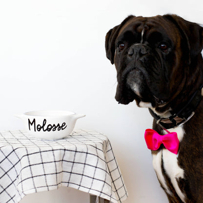 bol breton molossse pied de poule