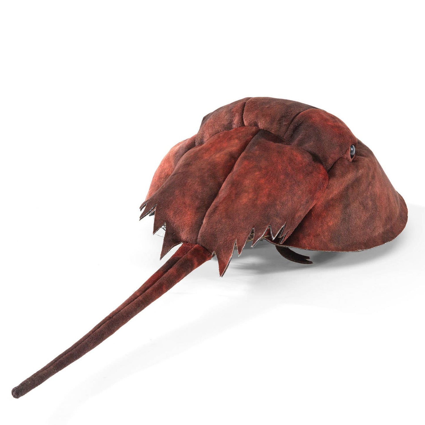 Marionnette à main Crabe à cheval/Crabe de fer à cheval 3218 Folkmanis réaliste