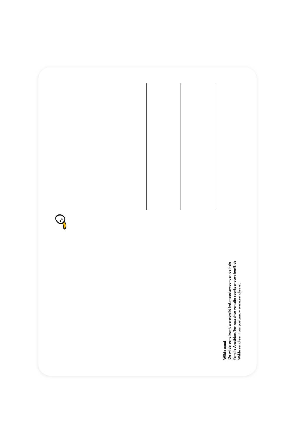 Postcard with Mallard Duck