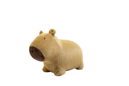 Capybara douce et rebondissante