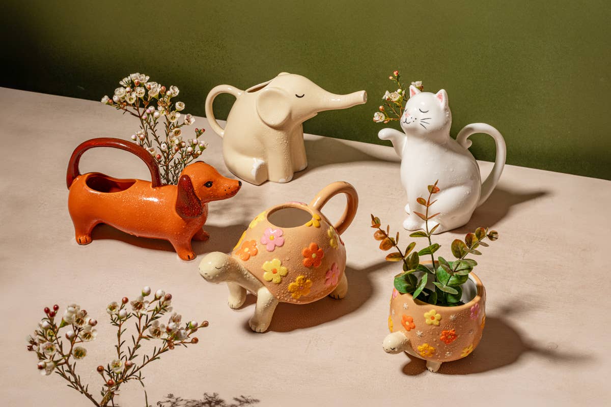 Arrosoir Chat