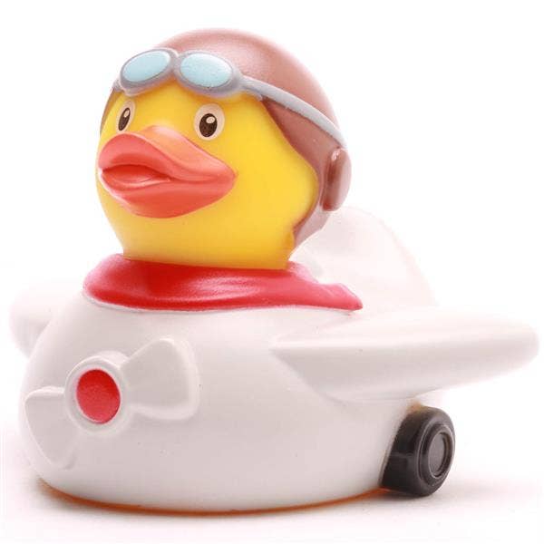 Canard Aviateur