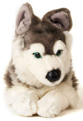Peluche Husky Gris Couché – 43 cm