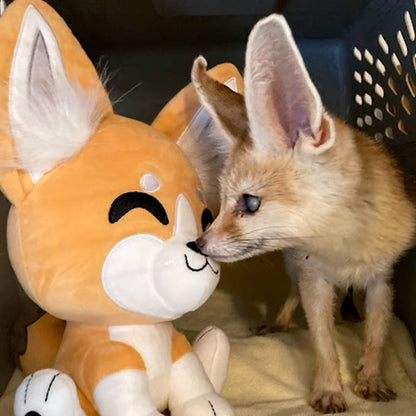 Fennec Plush 
