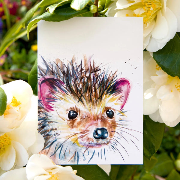 Ansichtkaart met aquarel van een egel