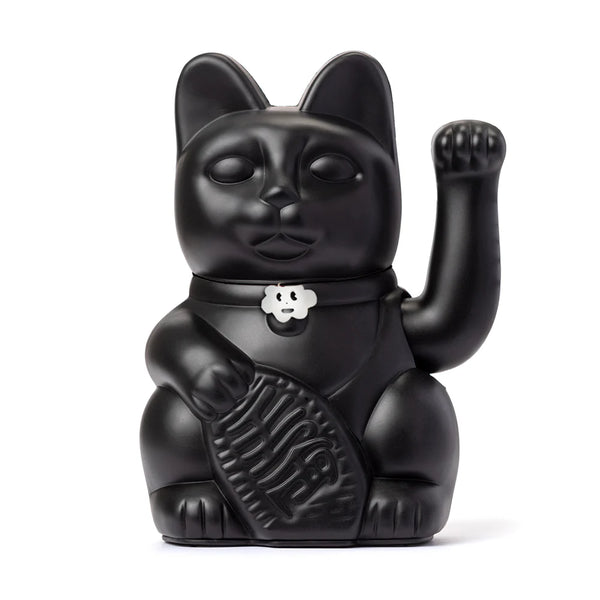 Gelukszwarte kat