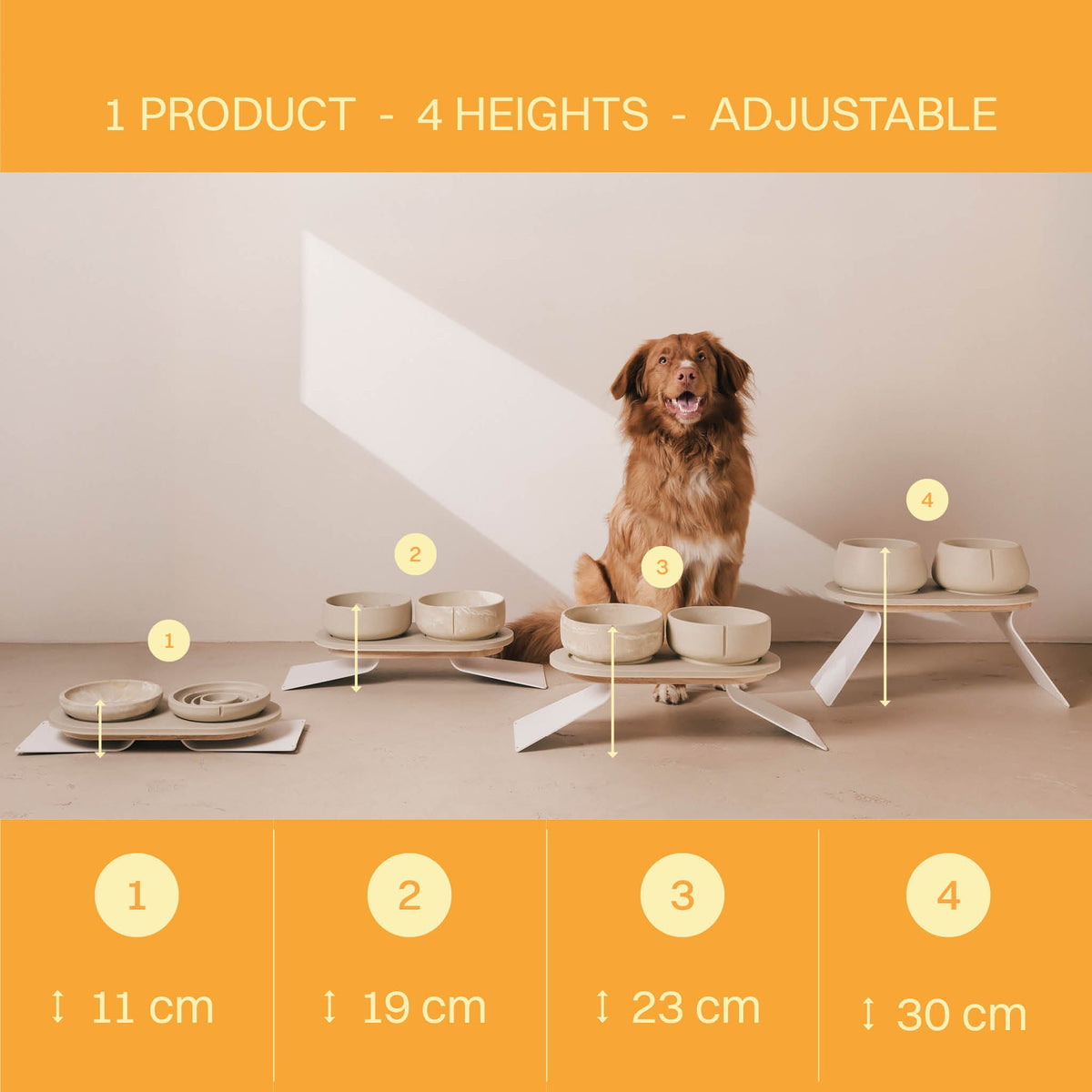 Perfect Posture Set für Hunde – Produktansicht 7