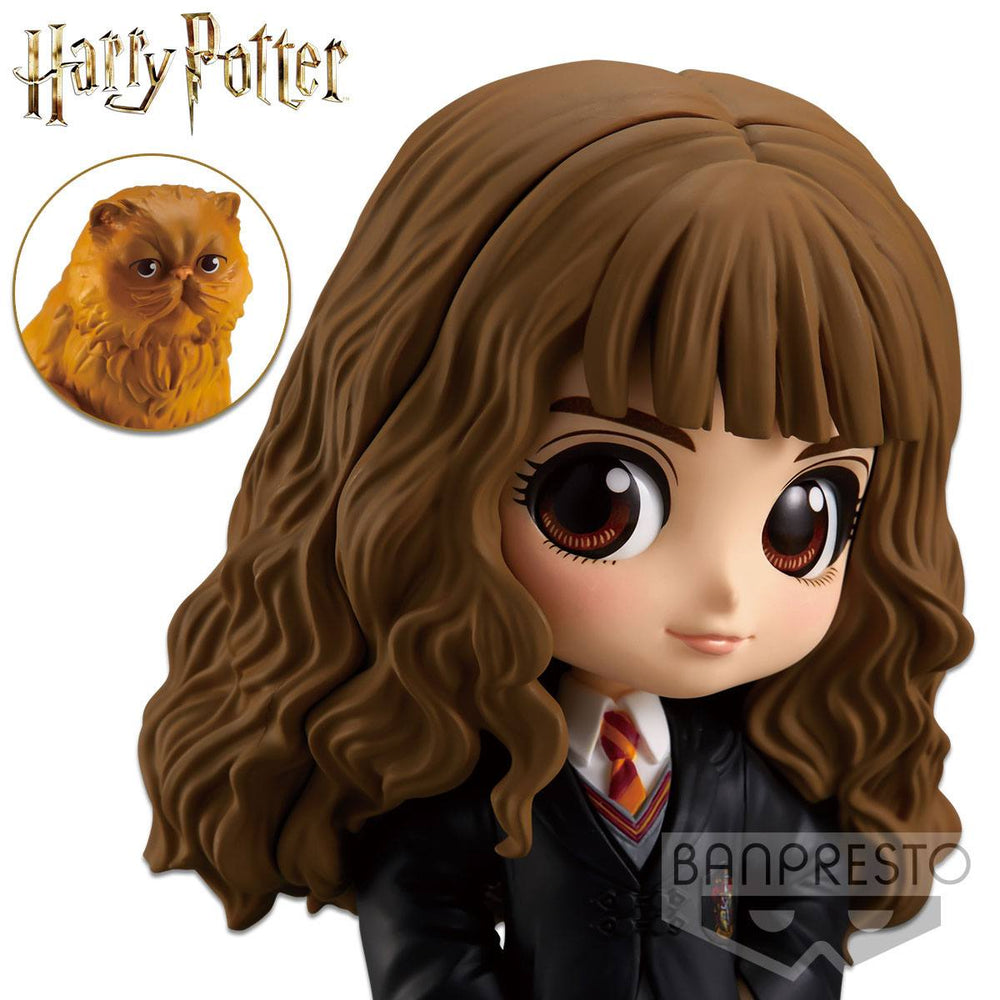 Q posket Hermione with Crookshanks