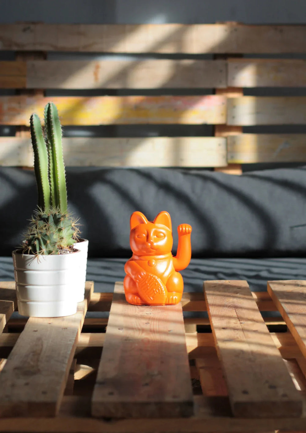 Gelukskat (oranje kat)