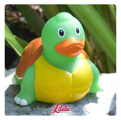 Duck turtle